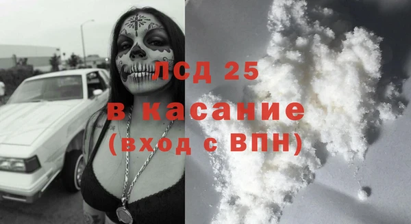 прущие грибы Богородск