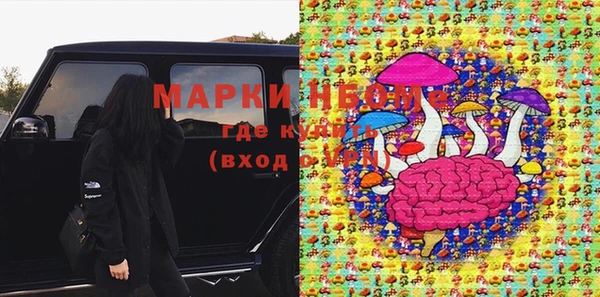 шишки Богородицк