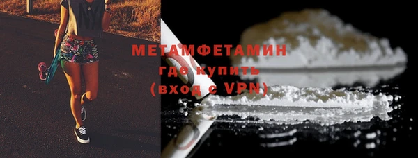 прущие грибы Богородск