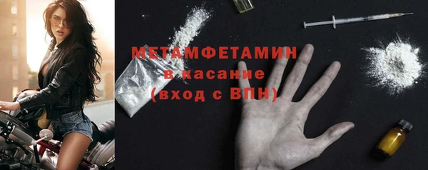 шишки Богородицк