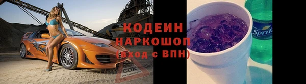 прущие грибы Богородск