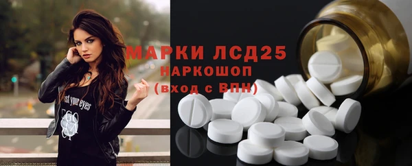 шишки Богородицк