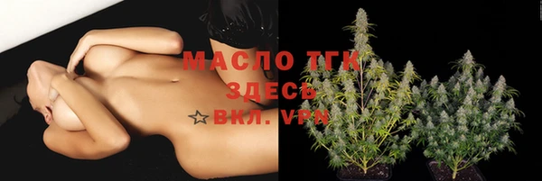шишки Богородицк