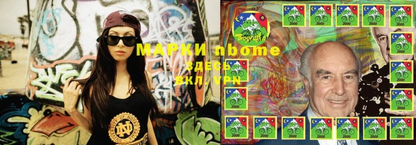 шишки Богородицк